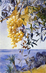  Henry Roderick Newman A Cluster of Grapes - Hand Painted Oil Painting
