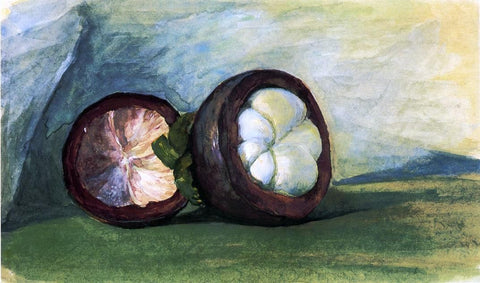  John La Farge Fruit of the Mangosteen, Java - Hand Painted Oil Painting