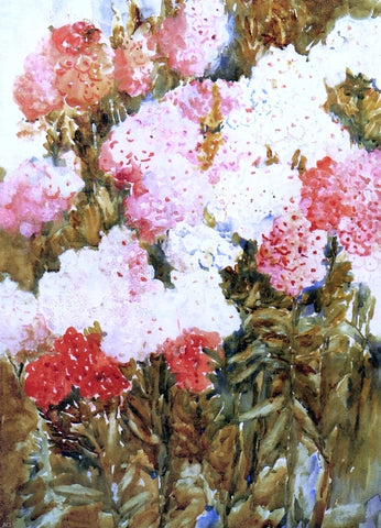  Annie G. Sykes Phlox - Hand Painted Oil Painting