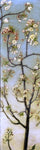  Charles Caryl Coleman Blossoming White Branches - Hand Painted Oil Painting