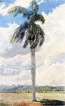  Charles De Wolf Brownell Royal Palm - Hand Painted Oil Painting