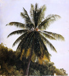  Frederic Edwin Church Palm Trees, West Indies - Hand Painted Oil Painting