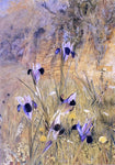  Henry Roderick Newman Irises in the Garden - Hand Painted Oil Painting