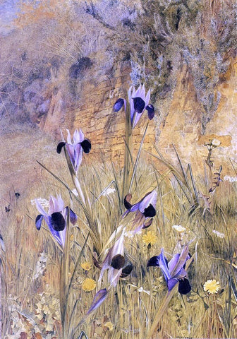  Henry Roderick Newman Irises in the Garden - Hand Painted Oil Painting