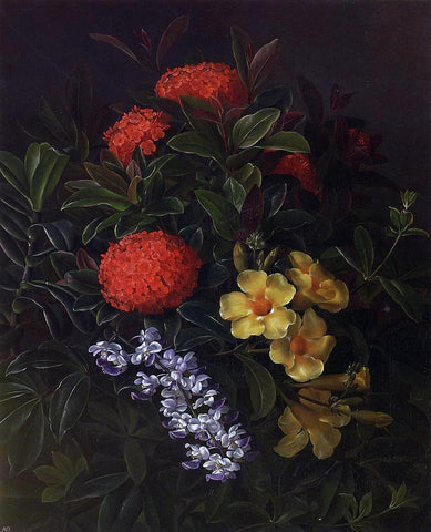  Johan Laurentz Jensen Allemanda, Ixora and Orchids - Hand Painted Oil Painting