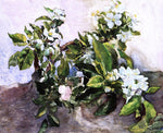  John La Farge Apple Blossoms - Hand Painted Oil Painting