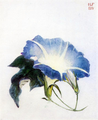  John La Farge Ipomoea (also known as Morning Glory) - Hand Painted Oil Painting