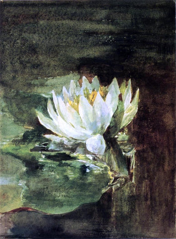  John La Farge Single Water-Lily in Sunlight - Hand Painted Oil Painting