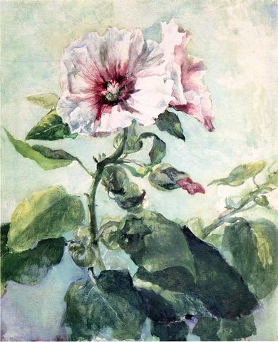  John La Farge Study of Pink Hollyhock in Sunlight, From Nature - Hand Painted Oil Painting