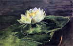  John La Farge Water Lily - Hand Painted Oil Painting