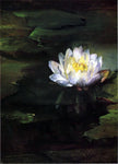  John La Farge Water-Lily, Study from Nature - Hand Painted Oil Painting