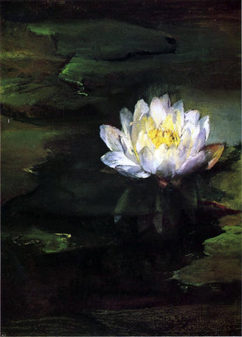  John La Farge Water-Lily, Study from Nature - Hand Painted Oil Painting