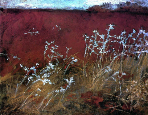  John Singer Sargent Thistles - Hand Painted Oil Painting