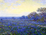  Julian Onderdonk Field of Bluebonnets under Cloudy Sky - Hand Painted Oil Painting