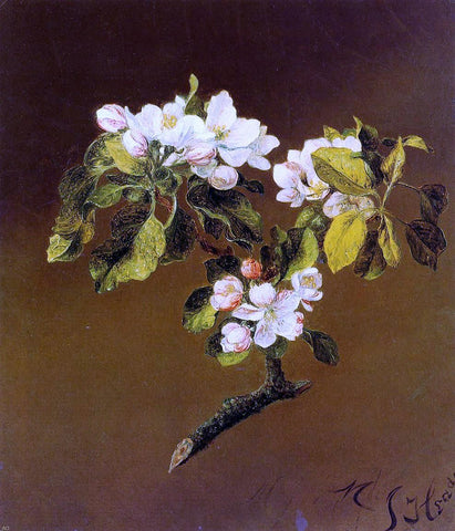  Martin Johnson Heade Spray of Apple Blossoms - Hand Painted Oil Painting
