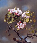 Martin Johnson Heade Branch of Apple Blossoms against a Cloudy Sky - Hand Painted Oil Painting