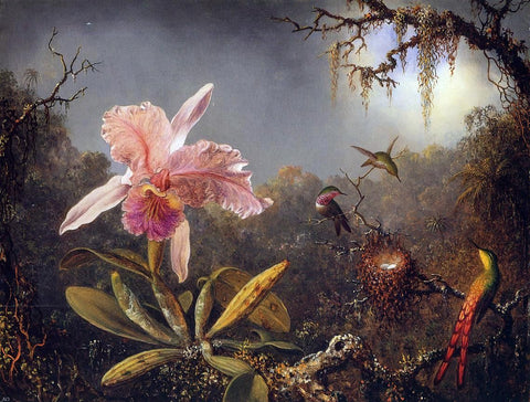  Martin Johnson Heade Cattleya Orchid and Three Brazilian Hummingbirds - Hand Painted Oil Painting