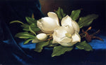  Martin Johnson Heade Giant Magnolias on a Blue Velvet Cloth - Hand Painted Oil Painting