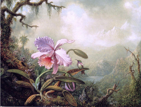  Martin Johnson Heade Heliodore's Woodstar and a Pink Orchid - Hand Painted Oil Painting