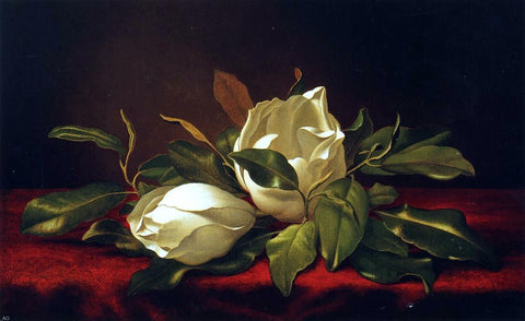  Martin Johnson Heade Magnoliae Grandeflorae - Hand Painted Oil Painting