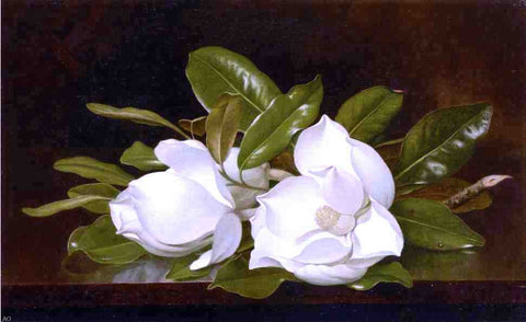  Martin Johnson Heade Magnolias on a Wooden Table - Hand Painted Oil Painting