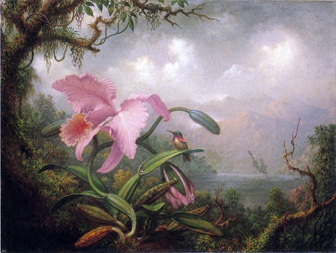  Martin Johnson Heade Orchid and Hummingbird - Hand Painted Oil Painting