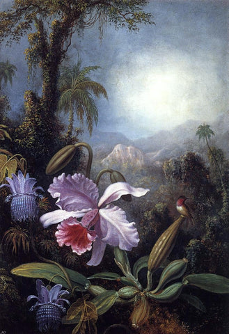  Martin Johnson Heade Orchids, Passion Flowers and Hummingbird - Hand Painted Oil Painting