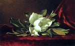  Martin Johnson Heade The Magnolia Blossom - Hand Painted Oil Painting