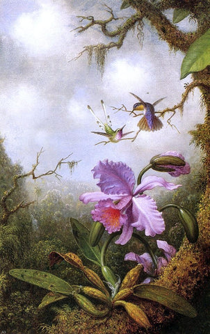  Martin Johnson Heade Two Hummingbirds and a Pink Orchid - Hand Painted Oil Painting