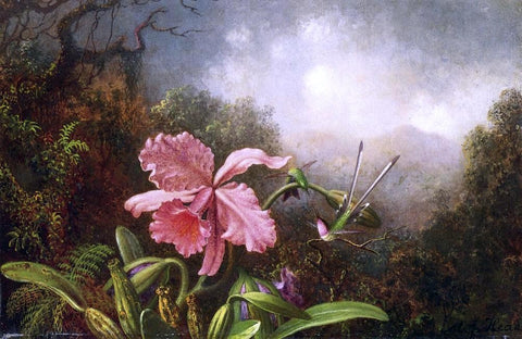  Martin Johnson Heade Two Hummingbirds by an Orchid - Hand Painted Oil Painting