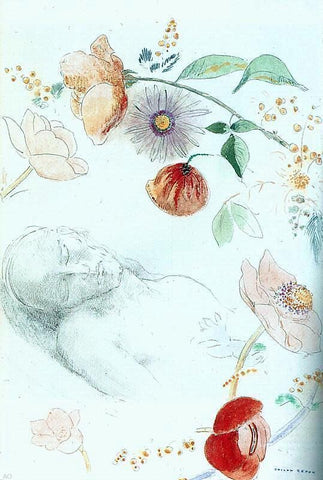  Odilon Redon Bust of a Man Asleep amid Flowers - Hand Painted Oil Painting
