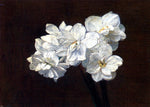  Victoria Dubourg Fantin-Latour Bouquet de Narcisses - Hand Painted Oil Painting