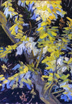  Vincent Van Gogh Blossoming Acacia Branches - Hand Painted Oil Painting