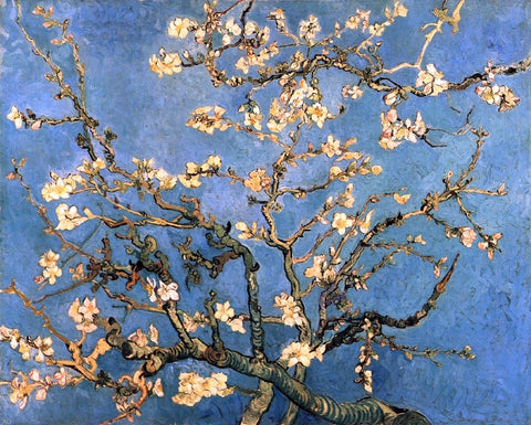  Vincent Van Gogh A Branch with Almond Blossom - Hand Painted Oil Painting