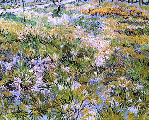  Vincent Van Gogh Meadow in the Garden of Saint-Paul Hospital - Hand Painted Oil Painting