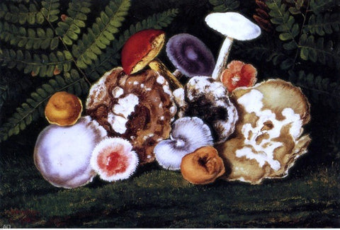  William Aiken Walker Mushrooms - Hand Painted Oil Painting