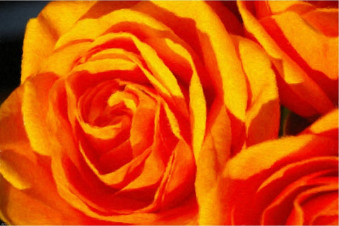  Our Original Collection Fabulous Orange Rose - Hand Painted Oil Painting