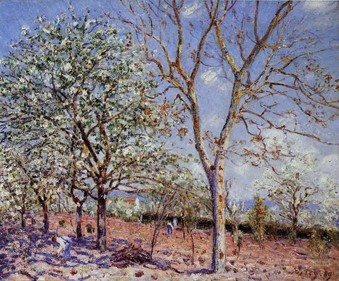  Alfred Sisley Plum and Walnut Trees in Spring - Hand Painted Oil Painting