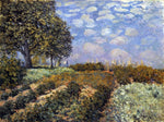  Alfred Sisley The Fields - Hand Painted Oil Painting