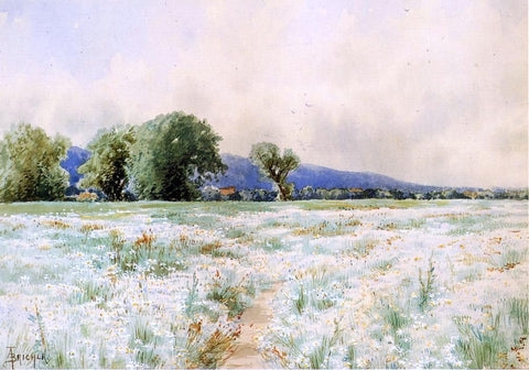  Alfred Thompson Bricher The Daisy Field - Hand Painted Oil Painting