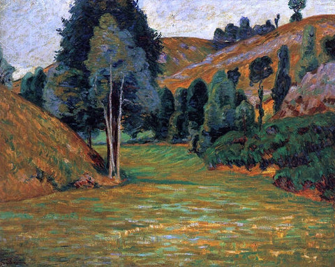  Armand Guillaumin A Small Valley at Pontgibaud - Hand Painted Oil Painting