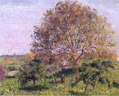  Camille Pissarro Walnut Tree in Spring - Hand Painted Oil Painting