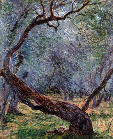  Claude Oscar Monet Study of Olive Trees - Hand Painted Oil Painting