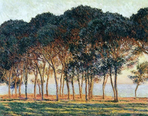  Claude Oscar Monet Under the Pine Trees at the End of the Day - Hand Painted Oil Painting