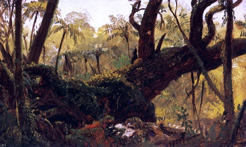  Frederic Edwin Church Rain Forest, Jamaica, West Indies - Hand Painted Oil Painting