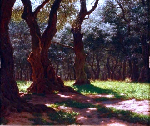  Ivan Fedorovich Choultse Foret D'Oliviers a Cap St. Martin - Hand Painted Oil Painting