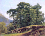  Ivan Ivanovich Shishkin Beech Forest in Switzerland - Hand Painted Oil Painting