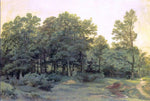  Ivan Ivanovich Shishkin Deciduous Forest - Hand Painted Oil Painting