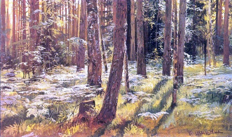  Ivan Ivanovich Shishkin Ferms in a Forest (etude) - Hand Painted Oil Painting