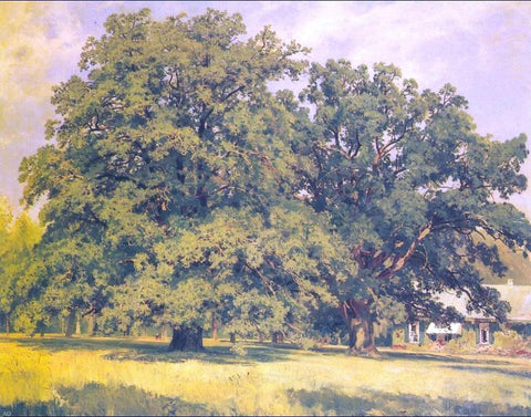  Ivan Ivanovich Shishkin Mordvinov's oaks - Hand Painted Oil Painting